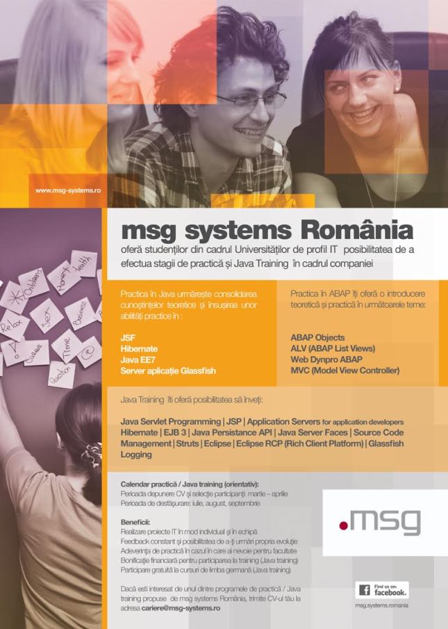 practica msg systems România 2015