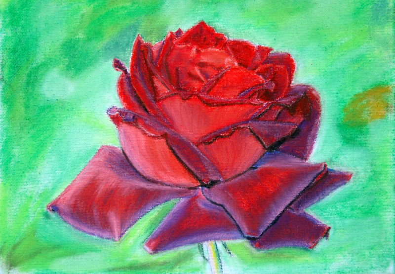 A4 soft pastel Rose