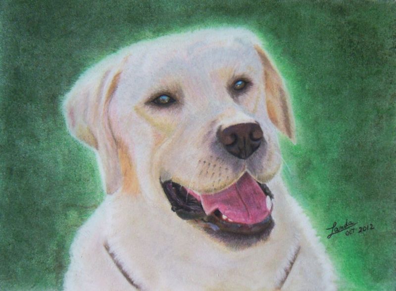 A4 soft pastel Labrador