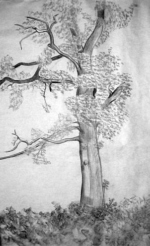 still life study: Tree (A1 size)